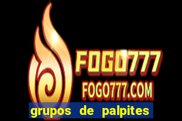 grupos de palpites de futebol whatsapp